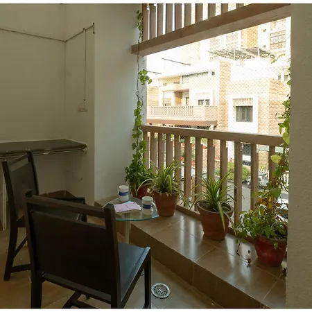 5Bhk Luxury Villa Near Umaid Bhawan Palace Jodhpur-3